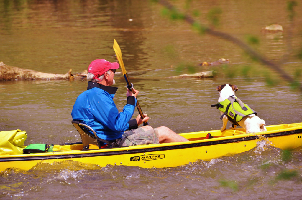 Kayaking on the Dan River pic