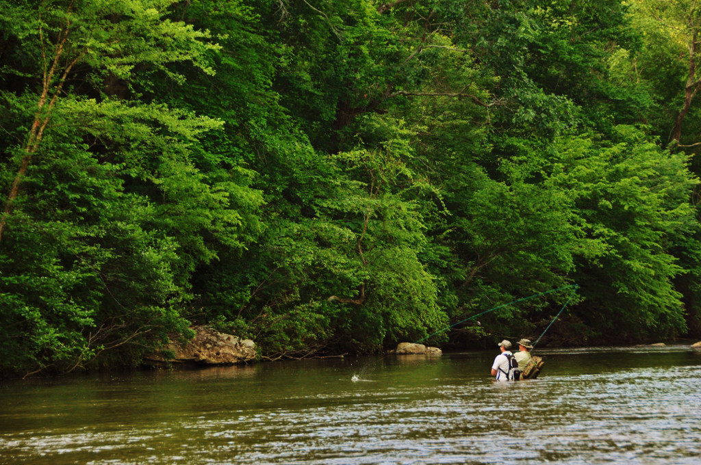 Dan River photo in NC