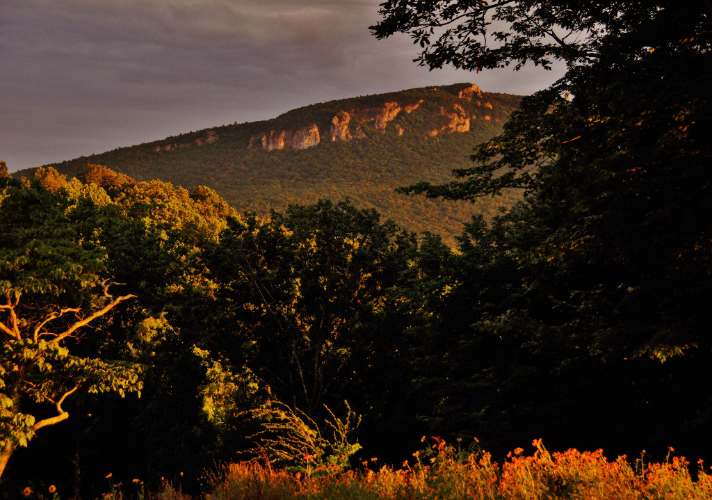 Photo of Hanging Rock in the distance