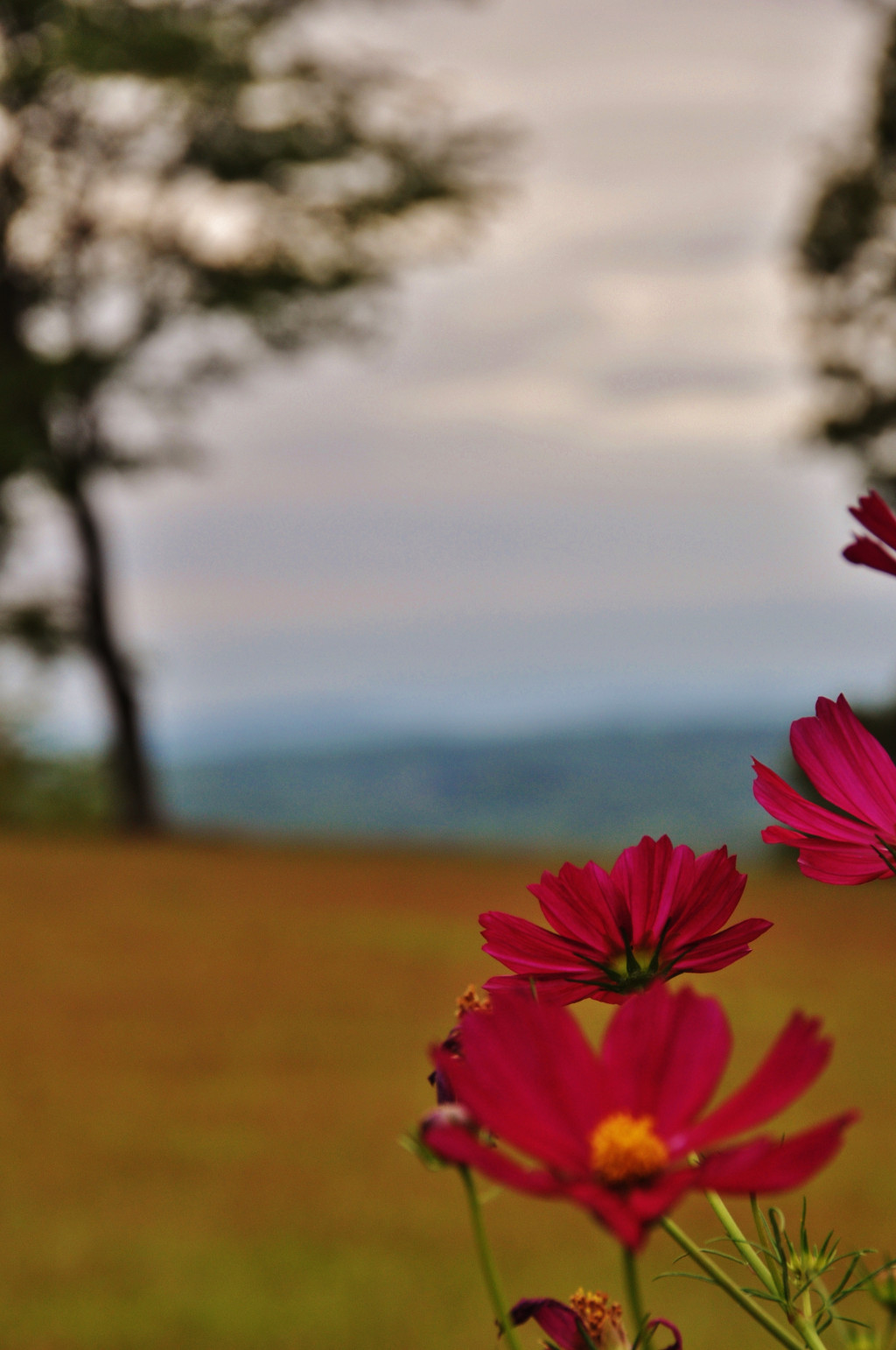 View of NC mountains photo