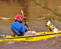 Kayaking on the Dan River pic