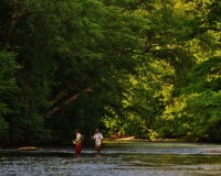 Fun on the Dan River pic