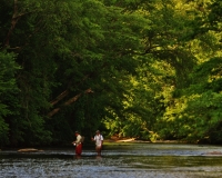 Fun on the Dan River pic