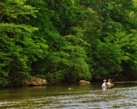 Dan River photo in NC