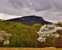 Hanging Rock photo