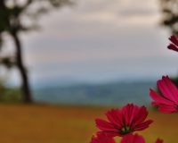 View of NC mountains photo